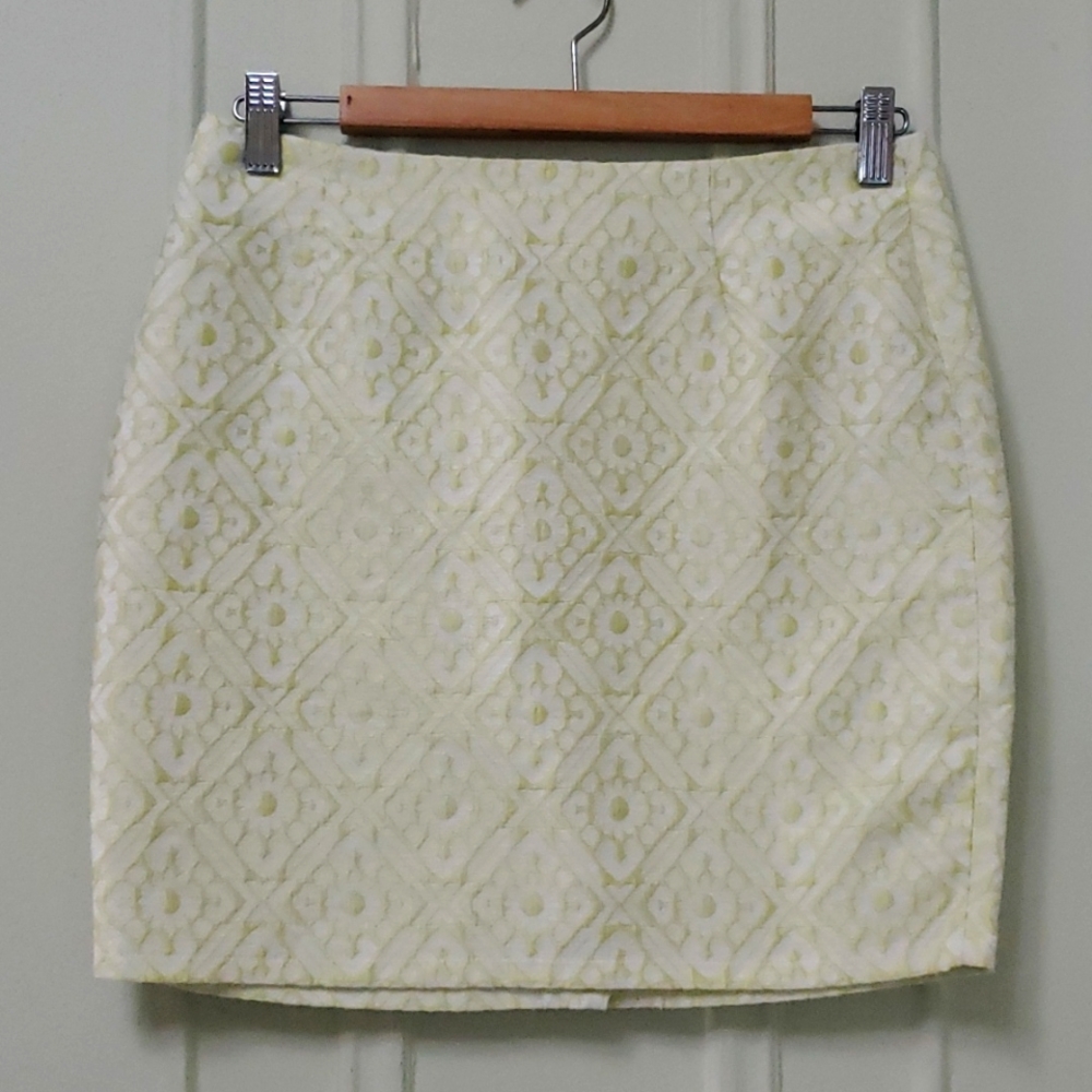 Tulle Mini Skirt
